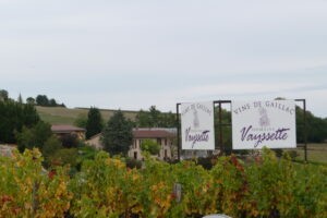 A vineyard in the Gaillac wine region of France with a sign showing the name of the vineyard Vins de Gaillac - Domaine Vaysette
