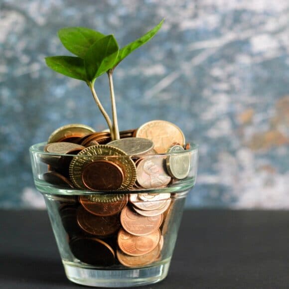 Money-in-a-glass-with-plant